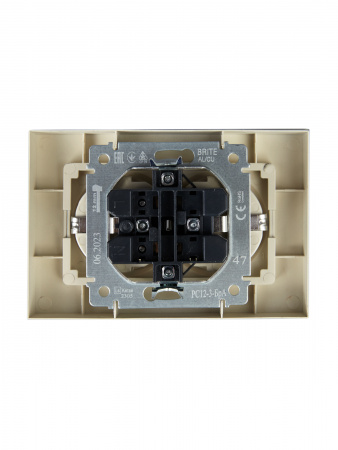 BRITE Розетка двойная с заземлением без защитных шторок 16А в сборе РС12-3-БрА алюминий IEK BR-R21-16-K47-F