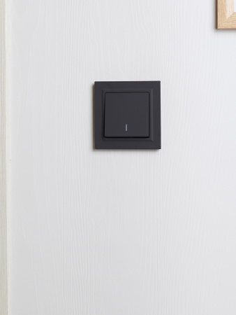 BRITE Рамка 1 пост IP44 РУ-1-БрГ-44 графит IEK BR-M12-44-K53