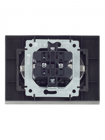 BRITE Розетка двойная с заземлением с защитными шторками 16А в сборе РСш12-3-БрС сталь IEK BR-R24-16-K46-F