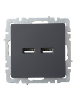 BRITE Розетка USB A+A 3.1А РЮ10-1-БрГ графит IEK BR-U21-D31-K53