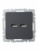 BRITE Розетка USB A+A 3.1А РЮ10-1-БрГ графит IEK BR-U21-D31-K53