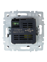 BRITE Розетка USB A+A 3.1А РЮ10-1-БрГ графит IEK BR-U21-D31-K53