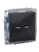 BRITE Розетка USB A+A 3.1А РЮ10-1-БрГ графит IEK BR-U21-D31-K53