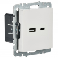 BRITE Розетка USB A+C 18Вт РЮ11-1-БрБ белый IEK BR-U22-018-K01