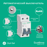Выключатель автоматический двухполюсный 25А С 4.5kA 230В City9 Set Systeme Electric C9F34225