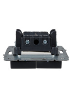 BRITE Выключатель двухклавишный с индикацией 10А ВС10-2-1-БрГ графит IEK BR-V20-1-10-K53