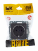 BRITE Розетка с заземлением без защитных шторок 16А РС11-1-0-БрС сталь IEK BR-R11-16-K46