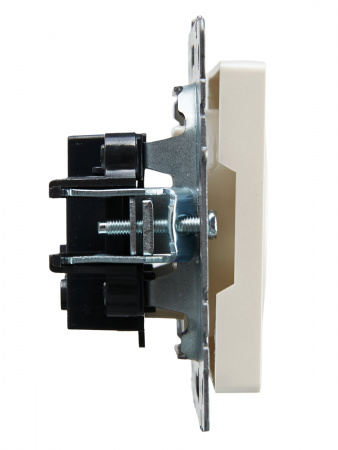 BRITE Розетка без заземления без защитных шторок 10А РС10-1-0-БрЖ жемчуг IEK BR-R10-10-K36