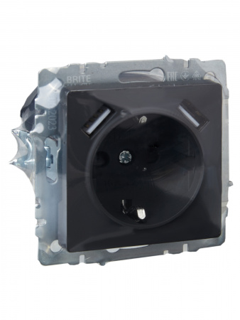 BRITE Розетка 1 пост с заземлением с защитными шторками 16А с USB A+A 5В 3.1А РЮш10-2-БрГ графит IEK BR-R14-16-U21-D31-K53