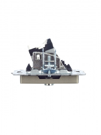 BRITE Розетка двойная TV+RJ45 кат.5E РТВ/РК12-БрШ шампань IEK BR-AK20-1-K37