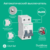 Выключатель автоматический двухполюсный 50А С 4.5kA 230В City9 Set Systeme Electric C9F34250