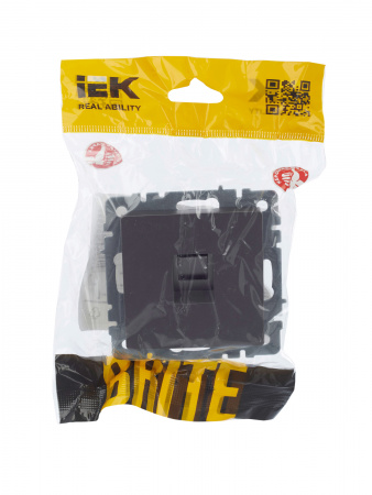 BRITE Розетка компьютерная RJ45 кат.5E РК10-БрС сталь IEK BR-K10-1-K46