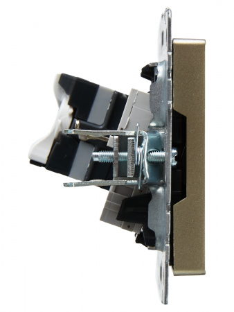 BRITE Розетка двойная RJ11+RJ45 кат.5E РК/Т12-БрШ шампань IEK BR-KT20-O-1-K37