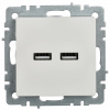 BRITE Розетка USB A+A 5В 3.1А РЮ10-1-БрБ белый IEK BR-U21-D31-K01