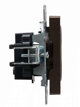 BRITE Розетка без заземления без защитных шторок 10А РС10-1-0-БрТБ темная бронза IEK BR-R10-10-K45