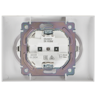 SKANDY Розетка 2-местная с заземлением без защитных шторок 16А в сборе SK-R08W арктический белый IEK SK-R21-16-K01-F