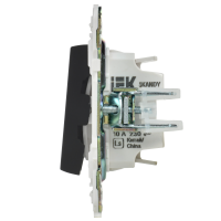 SKANDY Выключатель 2-клавишный проходной с индикацией 10А SK-V10Bl черный IEK SK-V22-1-10-K02