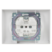 SKANDY Розетка 2-местная без заземления без защитных шторок 10А в сборе SK-R10W арктический белый IEK SK-R20-10-K01-F