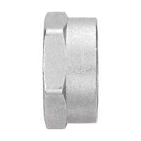 Заглушка ВР 1' никелированная AQUALINK 02581