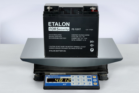 FS 1217 Аккумулятор FS 12В 17Ач ETALON BATTERY  100-12/17S
