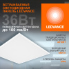4099854246531 Светильник светодиодный ДВО 36Вт 6500К 3600Лм     Белый  LEDVANCE ECOCLASS PANEL 