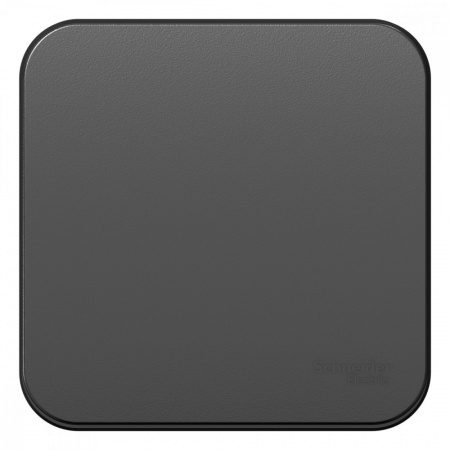BLNVA106016 BLANCA одноклавишный переключатель наружный (cх.6) изолированный пл, 10A, 250B, антрацит Systeme Electric 