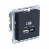 ATLASDESIGN USB РОЗЕТКА A + тип-C 45W высокоскор.заряд. QC, PD, механизм, КАРБОН Systeme Electric ATN001029