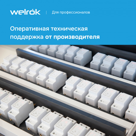 Реле напряжения Welrok D2-63 red Вэлрок 4660251140014