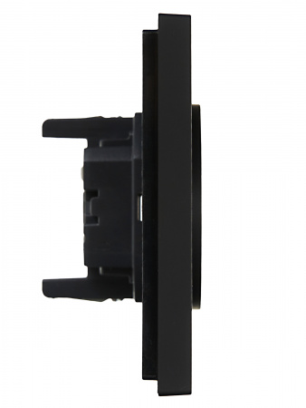 FORTE&PIANO Розетка 2-местная без заземления с защитными шторками безвинтовое крепление 10А FP125 черный IEK FP-R23-10-1-K02