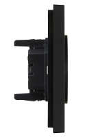 FORTE&PIANO Розетка 2-местная без заземления с защитными шторками безвинтовое крепление 10А FP125 черный IEK FP-R23-10-1-K02