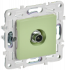 SKANDY Розетка TV оконечная SK-A12G мятный IEK SK-A10-O-K06