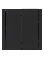 FORTE&PIANO Выключатель 2-клавишный 10А FP105 черный IEK FP-V20-0-10-1-K02