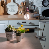 СветильникTLI-280 WHITE E27 PLANT настольный для фитоламп На прищепке Цоколь E27 Белый ТМ ФитоЛето Uniel UL-00009078