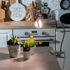 UL-00009078 СветильникTLI-280 WHITE E27 PLANT настольный для фитоламп На прищепке Цоколь E27 Белый ТМ ФитоЛето Uniel 