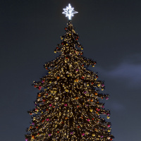 Гирлянда светодиодная декоративная ARD-STRING-PRO-10000-BLACK-100LED-STD WARM (230V, 7W) (ARDCL, IP65) Arlight 025824