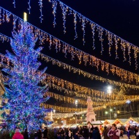 Гирлянда светодиодная декоративная ARD-EDGE-PRO-5600х900-WHITE-240LED-FLASH WARM (230V, 15W) (ARDCL, IP65) Arlight 026038