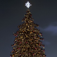 Гирлянда светодиодная декоративная ARD-STRING-PRO-10000-BLACK-100LED-FLASH WARM (230V, 7W) (ARDCL, IP65) Arlight 025825