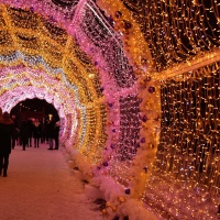 Гирлянда светодиодная декоративная ARD-STRING-CLASSIC-10000-CLEAR-100LED-STD Azure (230V, 7W) (ARDCL, IP65) Arlight 025819