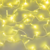 Гирлянда светодиодная декоративная ARD-STRING-CLASSIC-10000-CLEAR-100LED-STD Gold (230V, 7W) (ARDCL, IP65) Arlight 025813