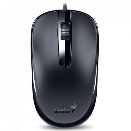 Мышь DX-120 оптическая, USB, черный Genius 31010010400 31010010400s