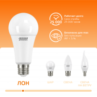 Лампа светодиодная LED 35 Вт 2670 лм 3000К А67 груша теплый E27 AC 220В Elementary Gauss GAUSS 70215