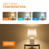 Лампа светодиодная LED 35 Вт 2670 лм 3000К А67 груша теплый E27 AC 220В Elementary Gauss GAUSS 70215