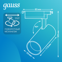GAUSS TR079
