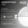 Светильник светодиодный ДВО 18 Вт 1800 лм 4000К AC 220В IP20 круг D120х27мм монт d106мм Пластик безрамочный Frameless Gauss GAUSS 967511218
