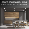 Светильник светодиодный ДВО 18 Вт 1800 лм 4000К AC 220В IP20 круг D120х27мм монт d106мм Пластик безрамочный Frameless Gauss GAUSS 967511218