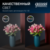 Светильник светодиодный ДВО 26 Вт 2250 лм 4000К AC 220В IP20 квадрат 225х225х26мм монт разм 190х190мм Пластик Elementary Gauss GAUSS 998520224