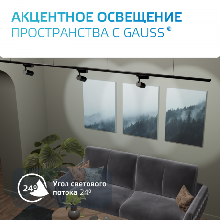 Светильник светодиодный трековый на шинопровод ДПО 16 Вт 1390 лм 4000К AC 220В Черный IP20 D85х210мм однофазный угол 24 грд Track Gauss GAUSS TR067