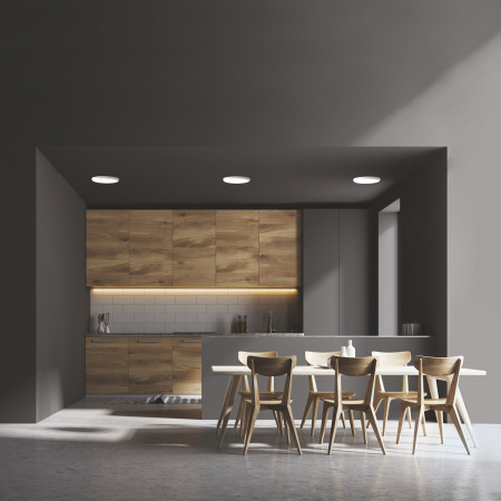 Светильник светодиодный ДВО 24 Вт 2400 лм 4000К AC 220В IP20 круг D170х27мм монт d155мм Пластик безрамочный Frameless Gauss GAUSS 967511224