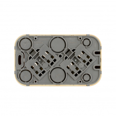 Quteo розетка двойная без заземления без шторок   -16 A-250 В IP 20 - Дерево Legrand/Daccord 782281