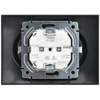 SKANDY Розетка 2-местная без заземления с защитными шторками 10А в сборе SK-R09Bl черный IEK SK-R23-10-K02-F